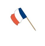 drapeau-francais.jpg